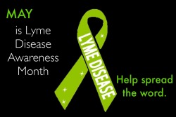 spoonieswimmer:  Today marks the first day of Lyme Disease Awareness Month.  Lyme is the fastest growing vector born illness in USA.  There are 300,000 new cases of Lyme Disease a year, or 34 each hour.  It can imitate many other illnesses including MS,