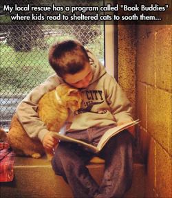 lodubimvloyaar:   Children Read To Shelter Cats To Soothe Them (Photos by Animal Rescue League Of Berks County. You can follow them on Facebook.)  Also good for the kids. They encourage having slow readers read to the family pets. A dog will listen
