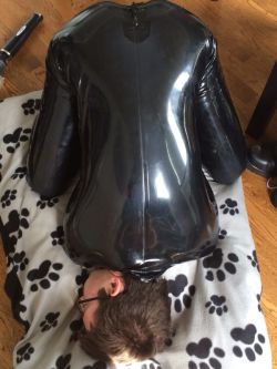 lanxpup:  mdshaven:  Manic pup in Sirs Lanxs stocks, :d sir used me as a foot stool hehe  He’s such a good pup and object hehe 