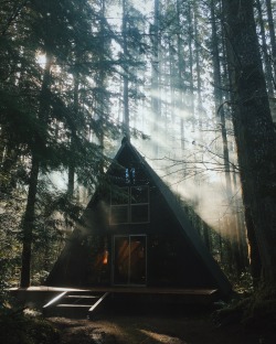 eartheld:  n-c-x:  forrestmankins:  A-Frame  nature blog  mostly nature