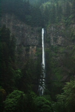 impairings:  We didn’t have time to stop but I took this through the car window (Multnomah Falls, OR) 