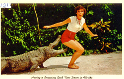 atomic-flash: Having a Snapping Good Time Down In Florida - postcard c. 1950s (via Steven Martin)  How we do in the sunshine state. Be nice or we’ll feed you to the gators.