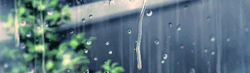 throughmythirdeye:  Makoto Shinkai animated rain 