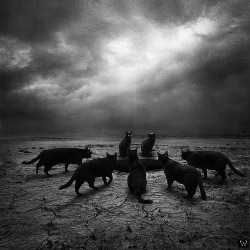 whitesoulblackheart:  The Gathering by mindazonaltal “It’s a treacherous thing, We missed you hissed the lovecats .. “ The Cure - Love Cats more edits here … Ƹ̴Ӂ̴Ʒ 