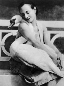 Anna Pavlova and the swan, 1905