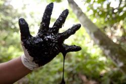 nativeamericannews:  Indigenous in Ecuador Struggle to Get Chevron to Pay Up on ű.5 Billion in Damages Their land still saturated with goop, indigenous groups in Ecuador are awaiting a decision in the Supreme Court of Canada on whether Chevron Corp.
