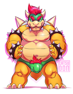 catsudon:   Bowser Day yesterday. Underwear Day today! (｡•̀ᴗ-)ъ 