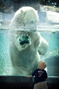 mystic-revelations:  Baby &amp; Polar Bear (by Official San Diego Zoo) 