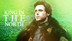 aryastarks:  Game of Thrones meme - Eight characters - [5/8]  → Robb Stark &ldquo;Robb Stark had won more battles in a year than the Lord of Highgarden had in twenty.&rdquo; 