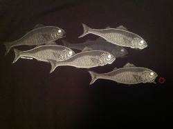 The back of my TOOL fish shirt. Artwork by Adam Jones