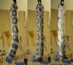 mirepoixthedragon:  Snow leopard tail made for someone on Reddit.  It was the result of the design-your-own tail thing I did a while back.  It was tough not adding some sepia tones to the background color, but the commissioner asked for a cool grey