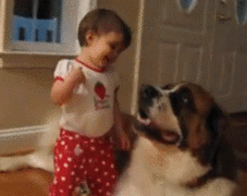 fuckyeah-nerdery:  paragonikathryn:  This toddler just discovered she can, in fact, hug dogs. And she is fucking proud.  Look how happy the dog is. :3   this just makes me happy