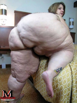 Legs. Just legs&hellip; Asshley aka Big Butt Asshley 			Measurements: (??-??-81) 			Bust: ? 			5'3&quot; [1] 			 			450 [1] 			 			204 kg 			BMI: 79.7  /- 		
