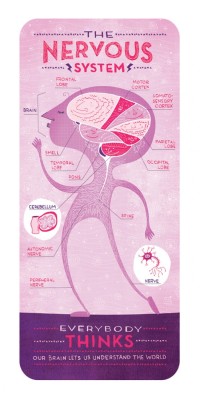 Explore-Blog:  Absolutely Adorable, Quirky Anatomical Posters By Designer And Illustrator