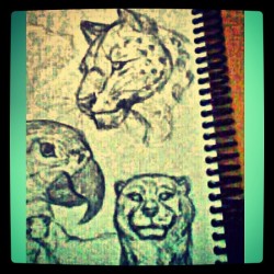 #sketches #boredom #animals #animaldrawing