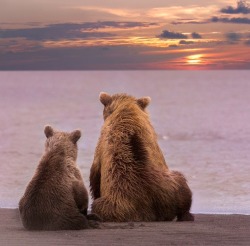 beautiful-wildlife:Peace by Jenny LorenLake Clark, Alaska