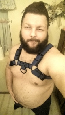 kimatiger:Was at my friend’s house the other night and got to try on his pup gear. The hood is a bit small for my large head but the harness fits perfectly!