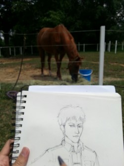 inosuta:  Drawing horses today 