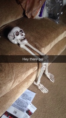 spoopytime-meeko:  coopercinno:  #humerus  this site’s obsession with skeletons and bone-related puns is a serious source of amusement for me and there may come a day when I am tired of it but it is NOT THIS DAY so don’t stop 