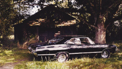 Russian-Hiddlestoner:  Brothers   Baby   Landscapes   I Want An Impala So Bad