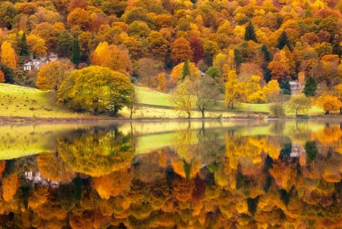 nubbsgalore:  autumn reflections by david clapp in england’s lake district national park; maurizio biancarelli of proscansko lake in croatia’s plitvice national park; and agustin rafael reyes of onuma pond in japan’s towada hachimantai national