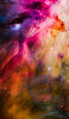 thedemon-hauntedworld:M42 The Orion Nebula Hubble Palette Credit: NASA/Hubble, color/effects thedemon-hauntedworld