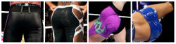 houndsofhotness:  nikkiswifey: WWE Superstars &amp; Divas ass appreciation post  ALL OF THIS. not even lying 😂 