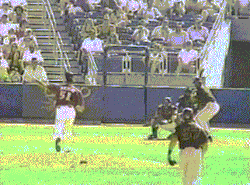 pissboner:  throwtheknuckleball:  Randy Johnson explodes a dove with a fastball. March 24, 2001.  i remember seeing that…awesome. the Big Unit actually pitched for SF 1 (?) season if my memory is correct.