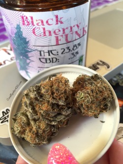 veraisastoner:  coralreefer420:  Black Cherry Funk from CRAFT Cannabis, been stashing this away with a Boveda!  Omg!! I picked up the same strain from them at the Cannabis Cup At Cow Palace this passed June!! 