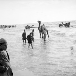 zamaaanawal:  Gaza, Palestine, 1943 