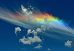 nubbsgalore:  circumhorizontal arcs photographed by (click pic) david england, andy cripe, del zane, todd sackmann and brandon rios. this atmospheric phenomenon, otherwise known as a fire rainbow, is created when light from a sun that is at least 58