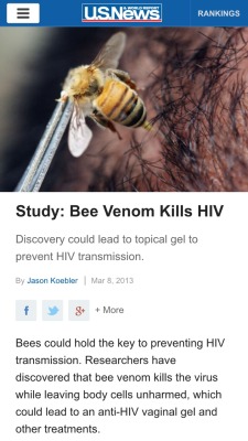 chleopatrapaige:  sloth-king:  toh-ska: fonzworthcutlass:   ohitsjustgreg:   sam-bee:  sithempire:  Plot twist: Bees are endangered  WOOOO  Plot Twist: the government is killing bees to keep making money off of HIV/AIDS.   jet fuel cant melt steel beams