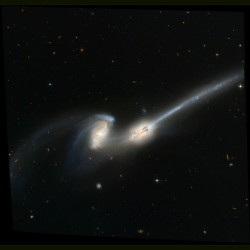 NGC 4676: When Mice Collide #nasa #apod #ngc4676 #hubble #spiral #galaxy #space #science #astronomy