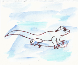 sofiadimartino:  animals on skateboards pt. 1