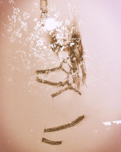 kazuhiro-oumi:自分で撮影した桜の写真と合成