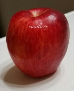 wants2fist:  candicox:Love how my pussy stretched as I birthed this huge apple