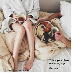 This is your place, under my legs.  Get used to it.     | Caption Credit: Uxorious Husband