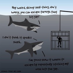Shark week!!! #xdiv #xdivla #xdivsticker #decal #stickers #new