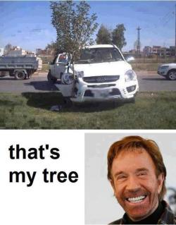 HA.  When Chuck Norris plants a tree&hellip; it STAYS planted bitch.  ;)