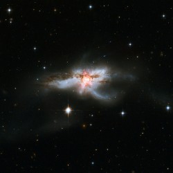 NGC 6240: Merging Galaxies #nasa #apod #esa #hubble #ngc6240 #collision #merging #galaxies #galaxy  #constellation #ophiuchus #universe  #science #space #astronomy
