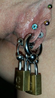 pussymodsgaloreA well pierced pussy. She has a VCH, and six inner labia piercings, four with flesh tunnels and two with a large ring through both. The lower flesh tunnels both have a ring through, with a hanging padlock. The padlocks are for effect and