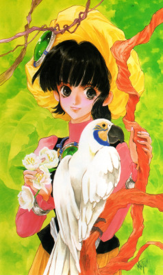 animarchive:    Wares Zeed: Rashuon no Arashi (Mutsumi Inomata Illustrations - SAI, 1998)   