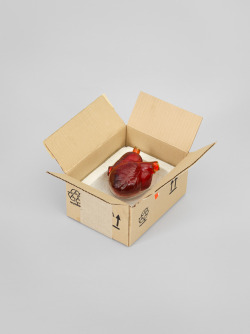 whitneymuseum:  Robert Gober (b. 1954), Heart in a Box, 2014–2015. Corrugated aluminum, cast glass, paper, plaster, and ink, 6 ½ × 10 ½ × 11 11/16 in. (16.5 × 26.7 × 29.7 cm). Whitney Museum of American Art, New York; Commissioned by the Whitney