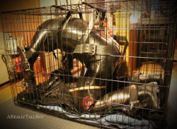 Rubber pups, bondage and chubs!