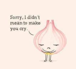 i forgive you, onion…