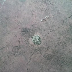 This may not look like much, but I&rsquo;m 90% sure this is where lightning hit my back patio because I don&rsquo;t remember this being there before&hellip; Also it was much warmer than the rest of the patio.