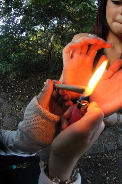 ungu-api:  follow the flame.  