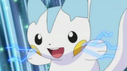 pokechampion:  ALL HAIL THE MIGHTY BASED GOD PACHIRISU WHO TOOK THE 2014 POKEMON CHAMPIONSHIPS BY STORM AND WON. WHO WOULD OF GUESSED? [x] 