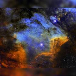 The Pelican Nebula in Gas, Dust, and Stars #nasa #apod #pelican #nebula #ic5070 #molecularcloud #gas #dust #star #formation #stars #ionization #stellarnursery #sulfur #hydrogen #oxygen #universe #galaxy #space #science #astronomy