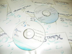 I used to be in a band called Stamen. The band is dead now but I was asked to put together a demo type cd of the songs we had recorded. Each one of the cd labels and album art was hand drawn and painted by me.  If you are curious about what we sounded